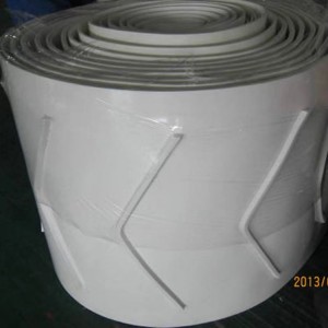 FDA White Color Conveyor Belt