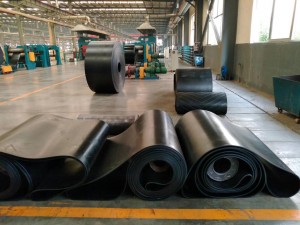 Endless Conveyor Belt