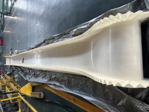 FDA White Color Conveyor Belt