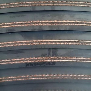 Aramid / Kevlar / DPP Fabric Conveyor Belt